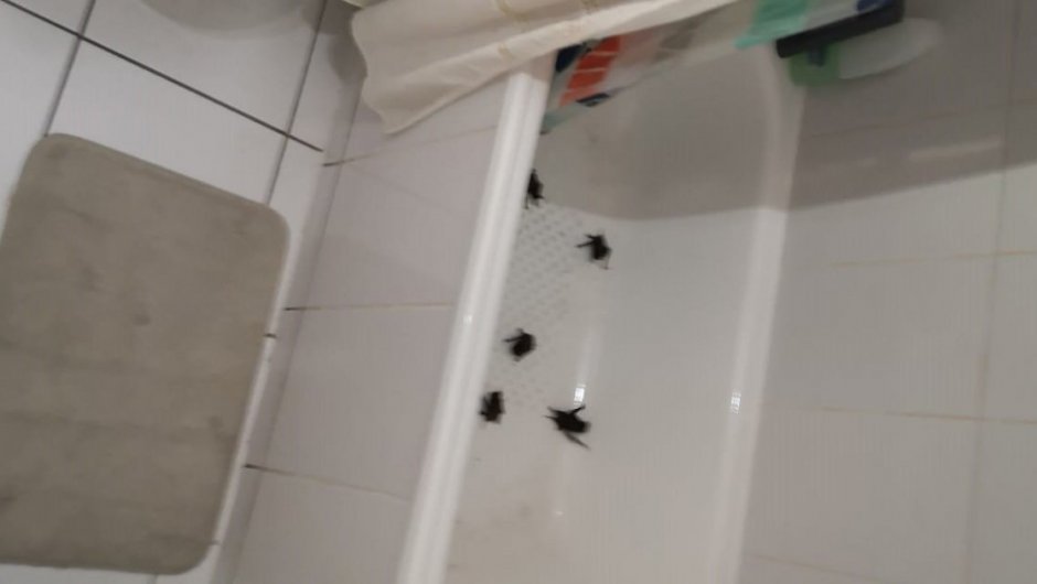 Esta era la bañera de uno de los vecinos afectados. ( Foto: @DiegoAlmarza21). 