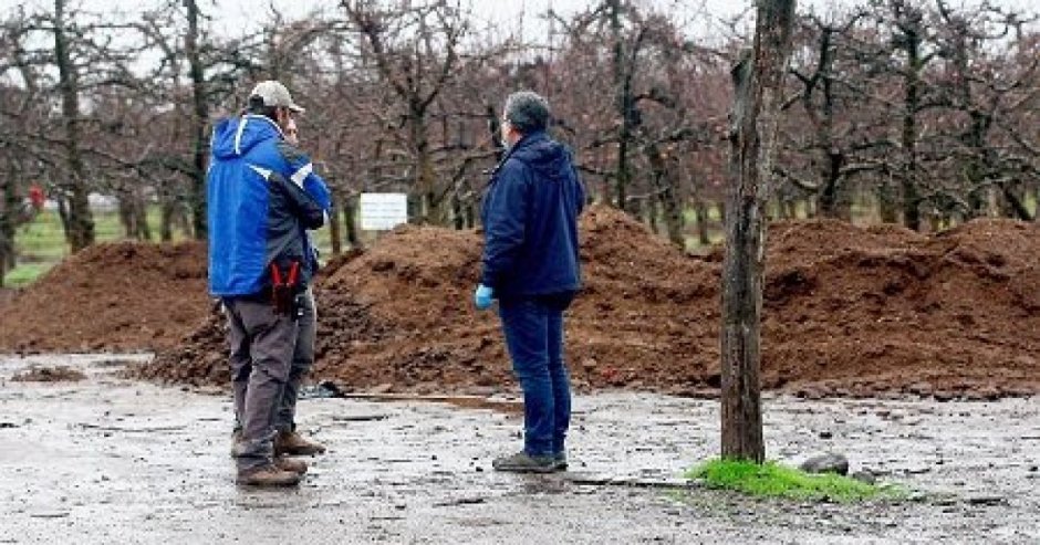 La Dirección de Gestión Ambiental y Territorio inició una investigando (Foto: Vivimos La Noticia)